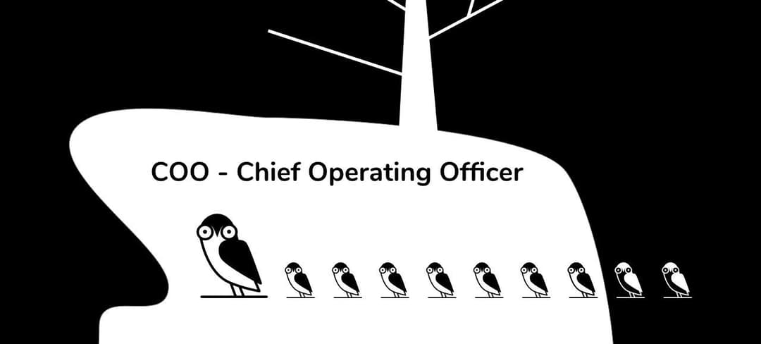 COO - Chief Operating Officer
