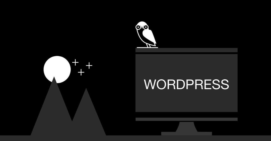 WordPress CMS