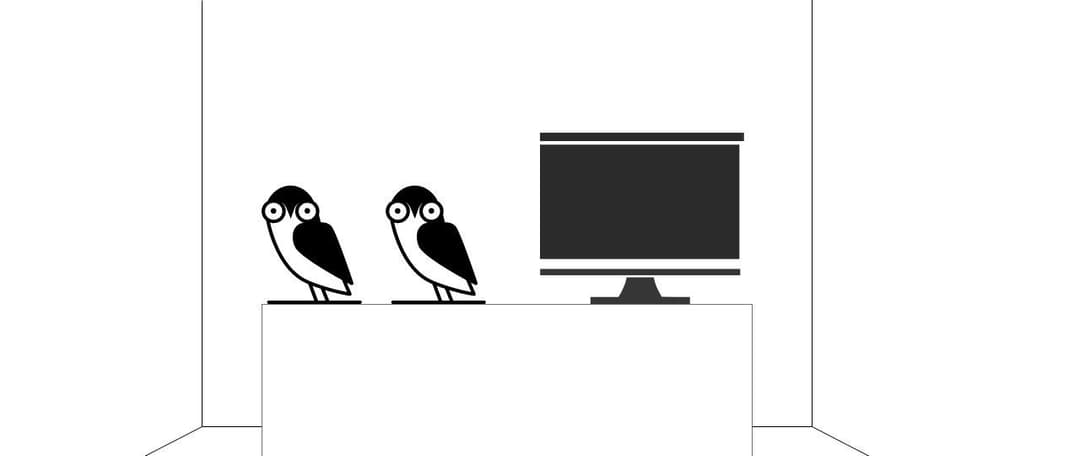 programistki