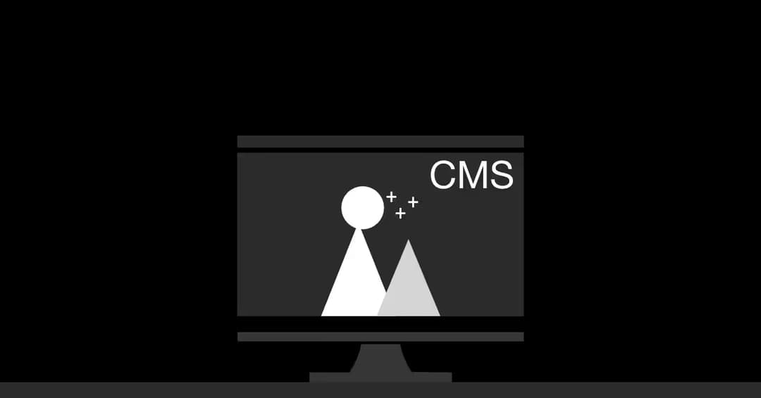 CMS co to znaczy?