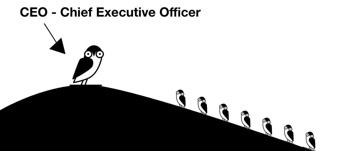 CEO, CMO, CFO, CTO, CIM, COO, CSO - co znaczą te skróty? Wyjaśnienie pojęć.