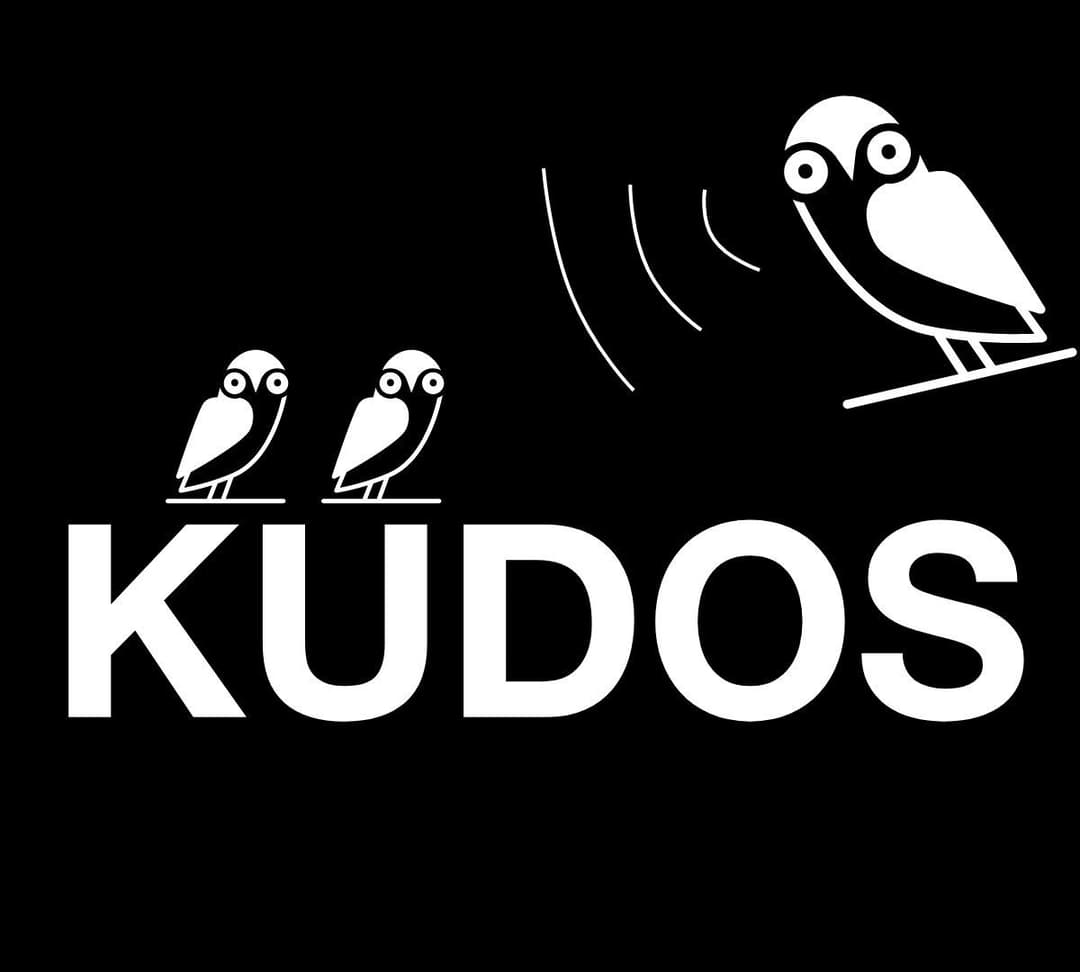 kudos — ilustracja artykułu