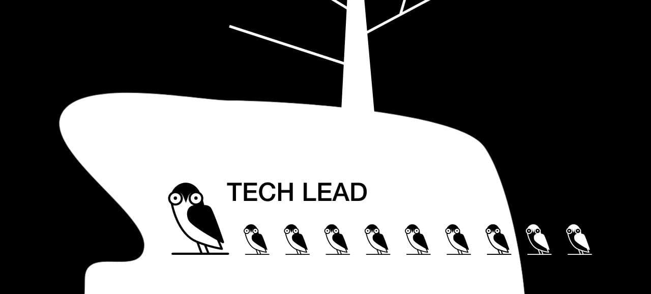 Ścieżka od programisty do Tech-leada. Kierowanie pracami w projekcie IT.